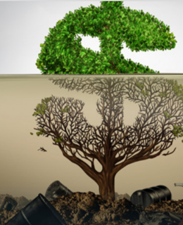 THE CASE OF ESG & GREENWASHING: A KISS-AND-TELL